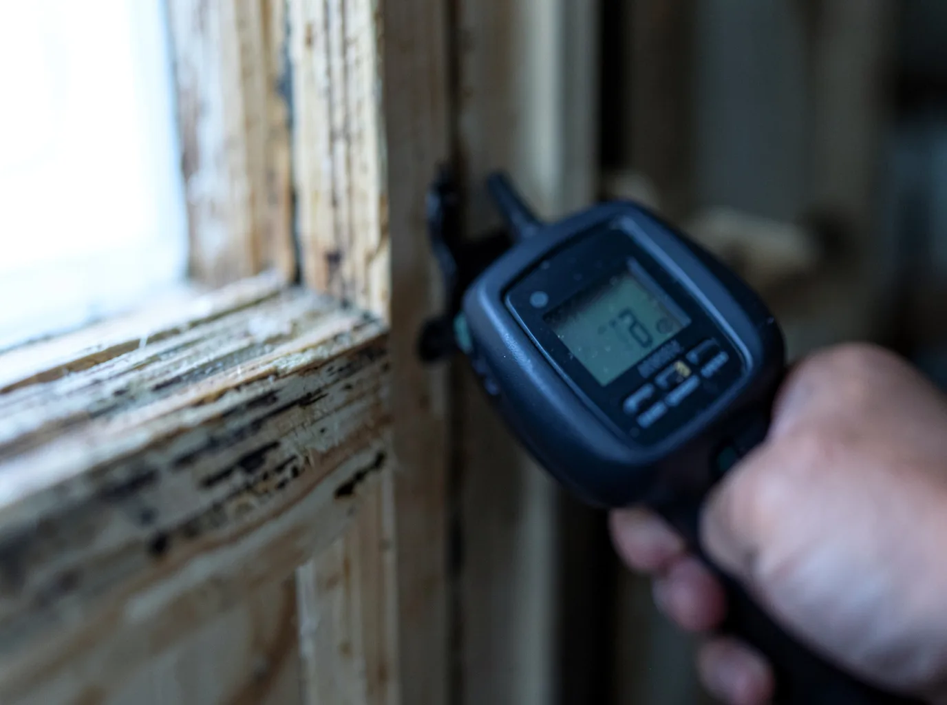 Moisture Inspection And Documentation in Mcandrews, KY